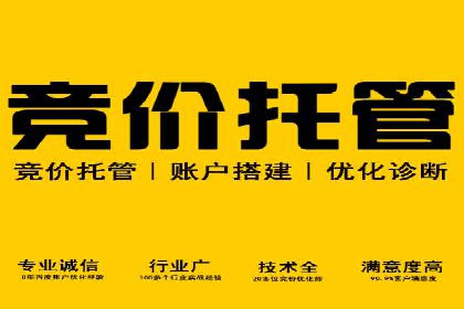 百度推广平台实战：打造爆款广告的秘诀